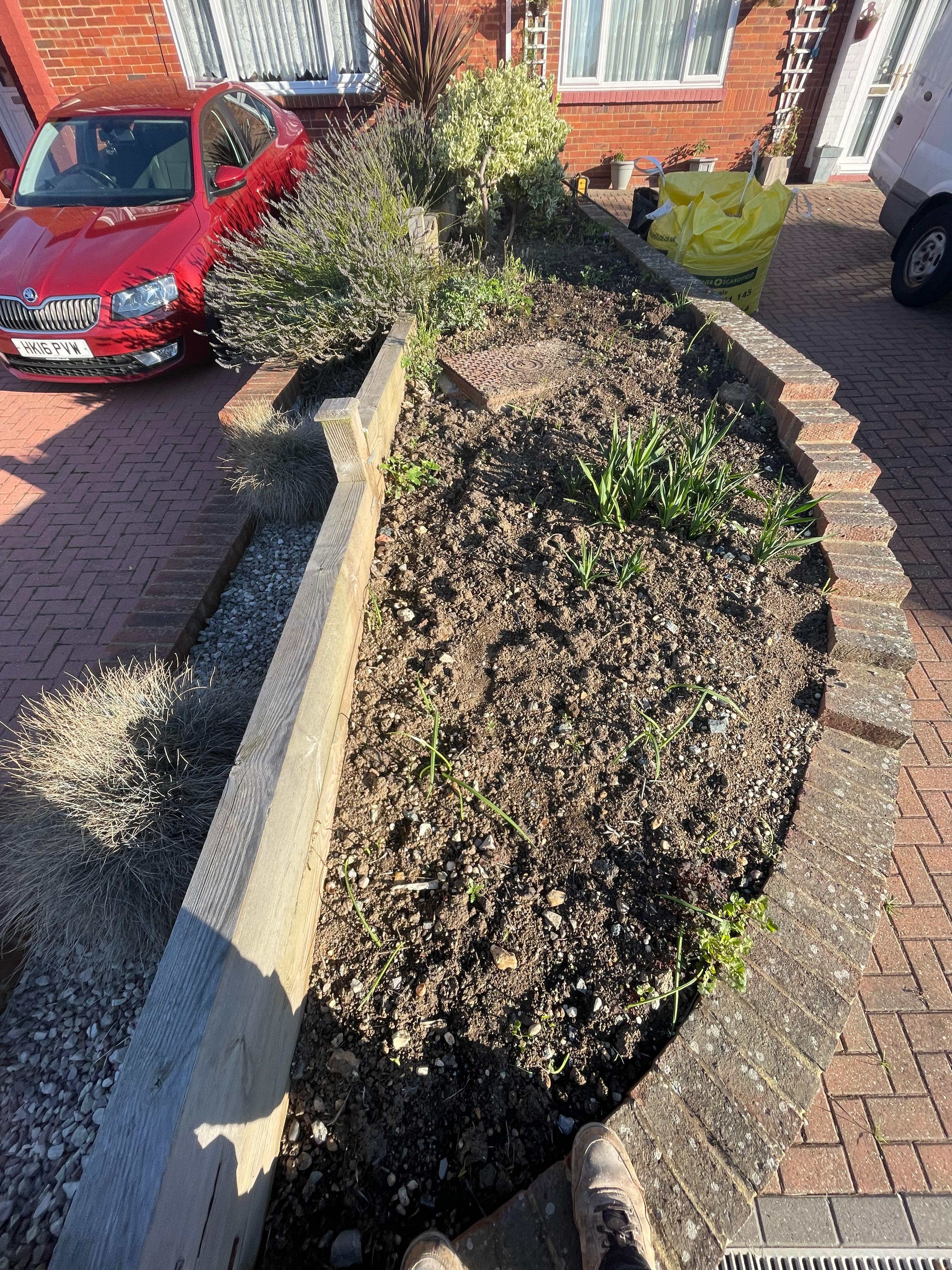 Bare soil front garden bed with sparse planting