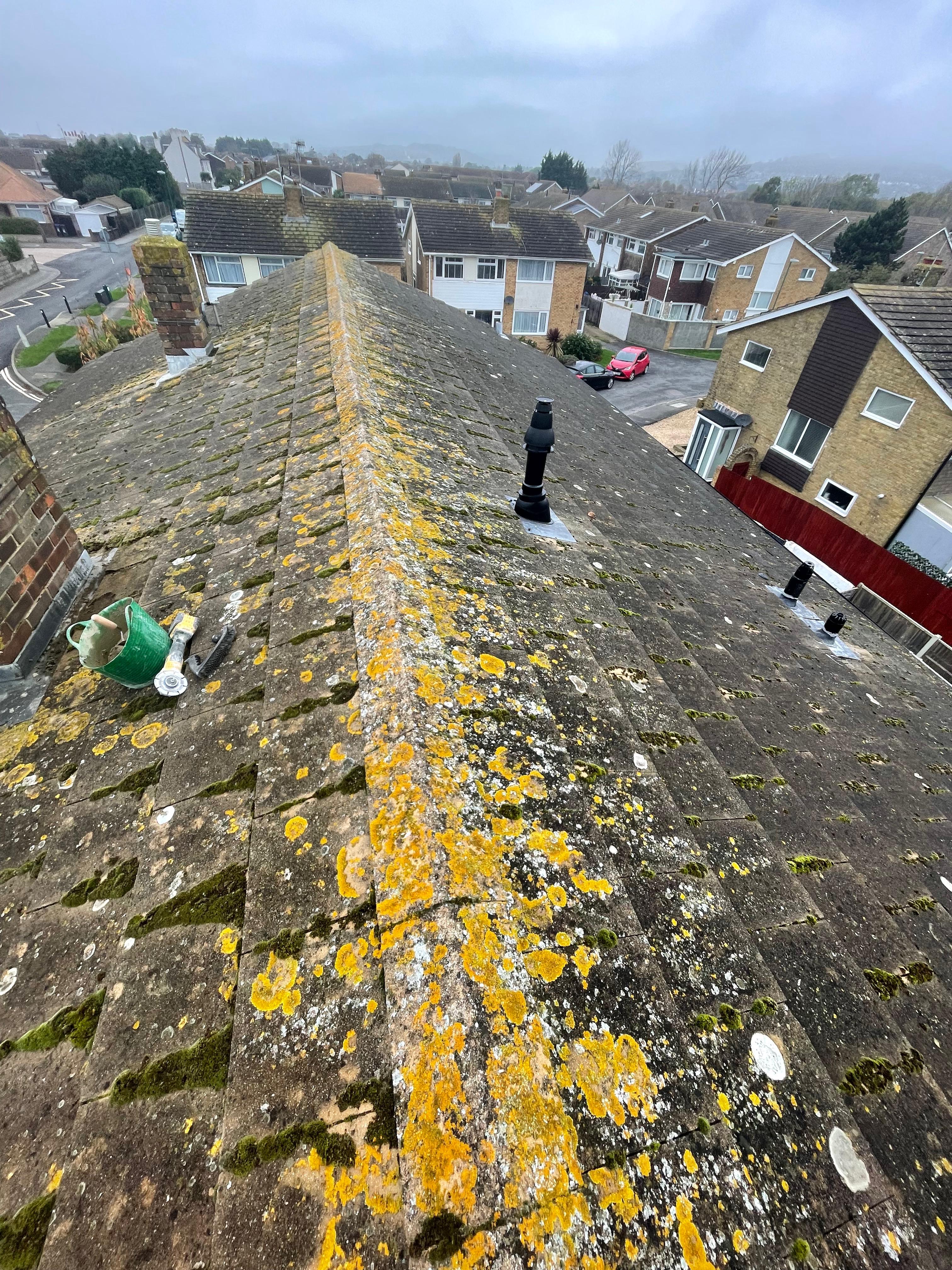 Lichen-covered roof ridge tiles with deteriorating mortar