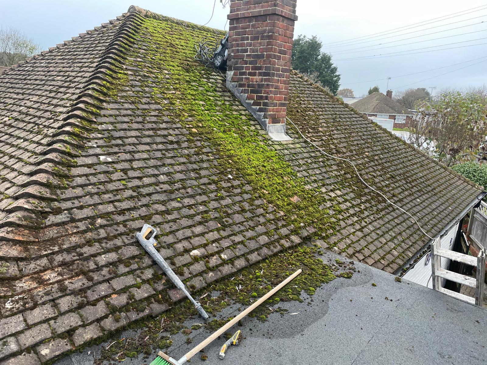 Moss-covered roof tiles before cleaning and repair