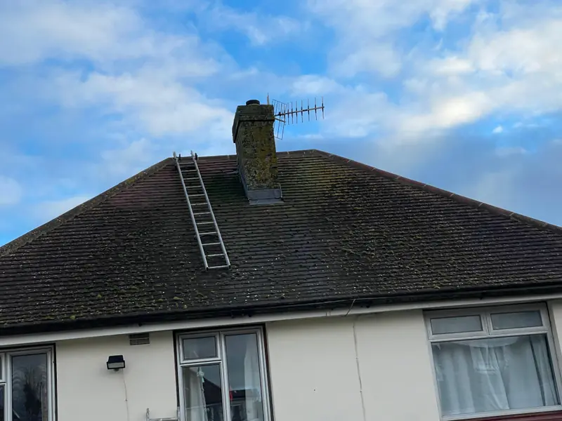 Moss-covered roof and weathered chimney before cleaning